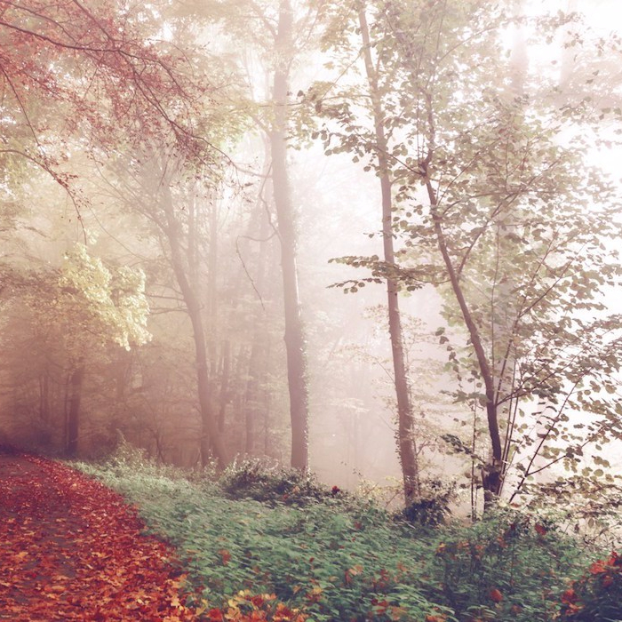 cropped-photo-1445964047600-cdbdb873673d